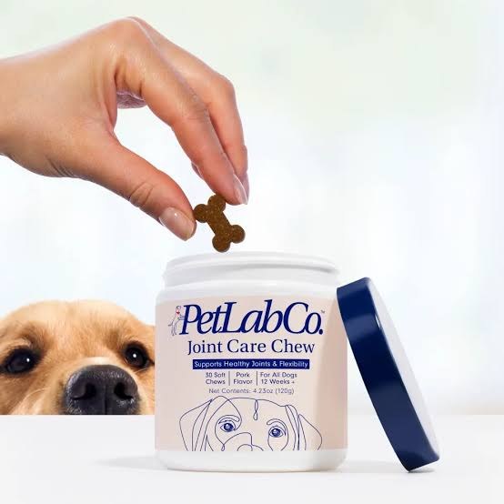 PetLab Co. Joint Care Chews with dog